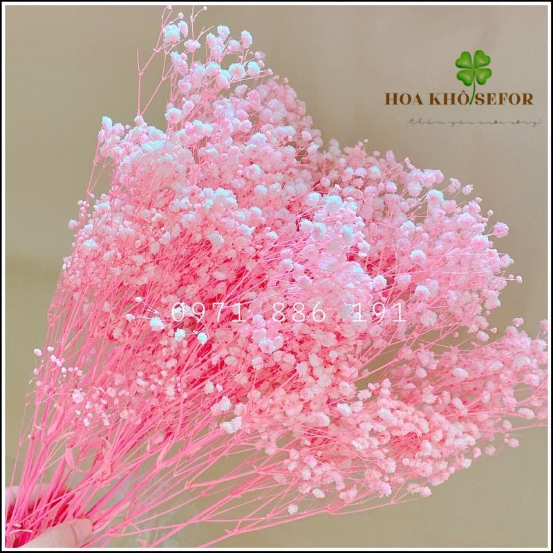 Hoa Baby Bloom Gypsophila hoa khô trang trí nhà cửa, văn phòng