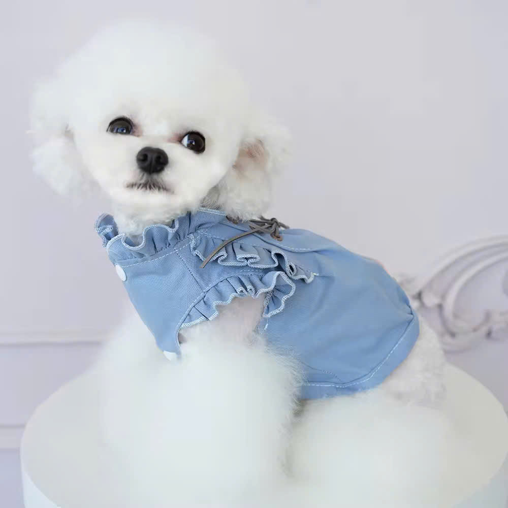 ĐẦM JEAN SANG TRỌNG TỪ 0.2-6.5KG DÀNH CHO THÚ CƯNG CHÓ MÈO