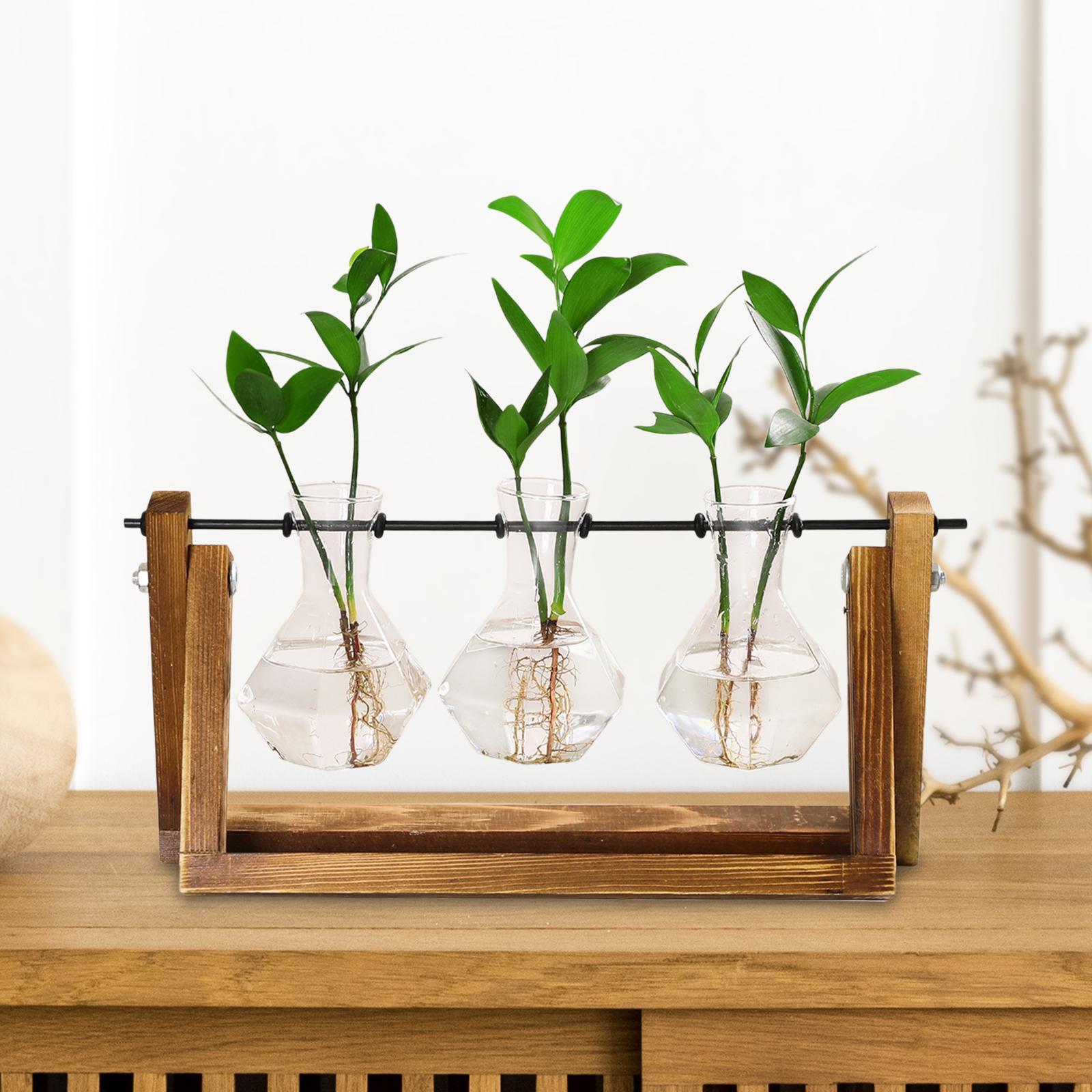 Glass Plant Terrarium Flower Bud Vase Hydroponics Wooden Rack Geometric Shelf
