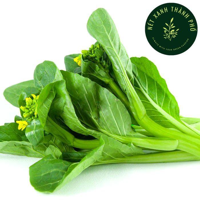 Hạt giống cải ngồng, cải ngọt bông 20gr