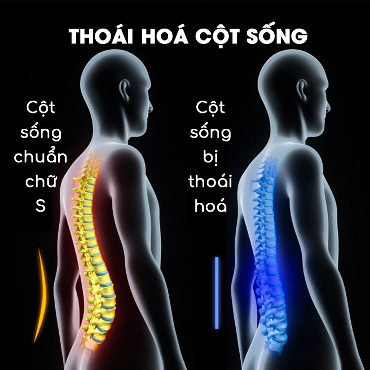 Máy massage lưng Sothing Momoda SX351, cơ chế rung đa chiều, 3 chế độ nóng, có điều khiển đi kèm- Hàng chính hãng