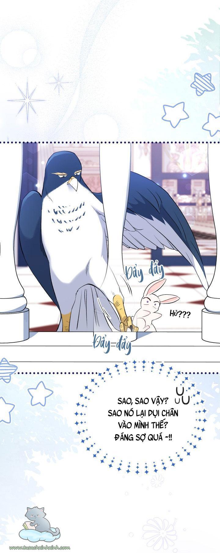 quan hệ cộng sinh giữa báo đen và thỏ trắng chapter 57 17