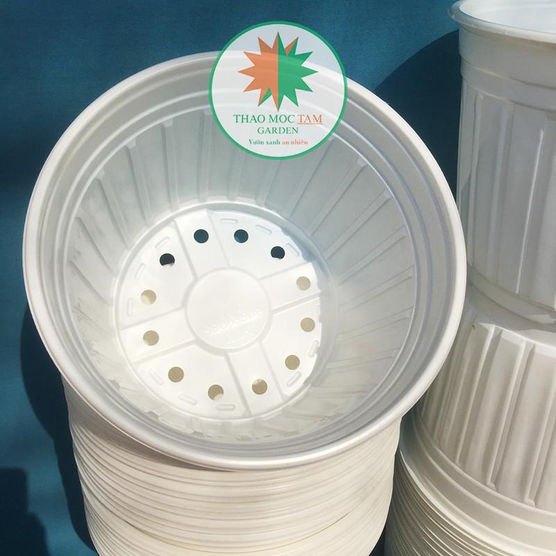 5c Chậu nhựa trồng cây 26x20cm - Chậu nhựa trồng hoa, phù hợp các dòng hoa bụi lớn, chậu trồng hoa hồng