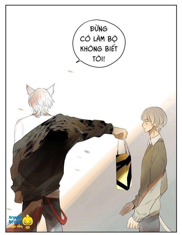 cứu mạng ! loài mèo thống trị thế giới rồi ! chapter 28 12
