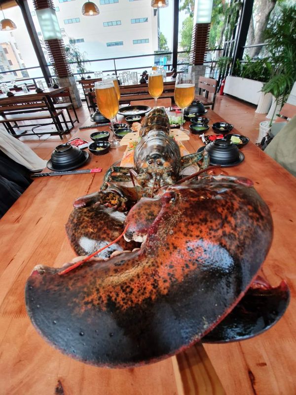 Tôm Hùm Tươi Sống Size ( 2,5KG - 3KG)