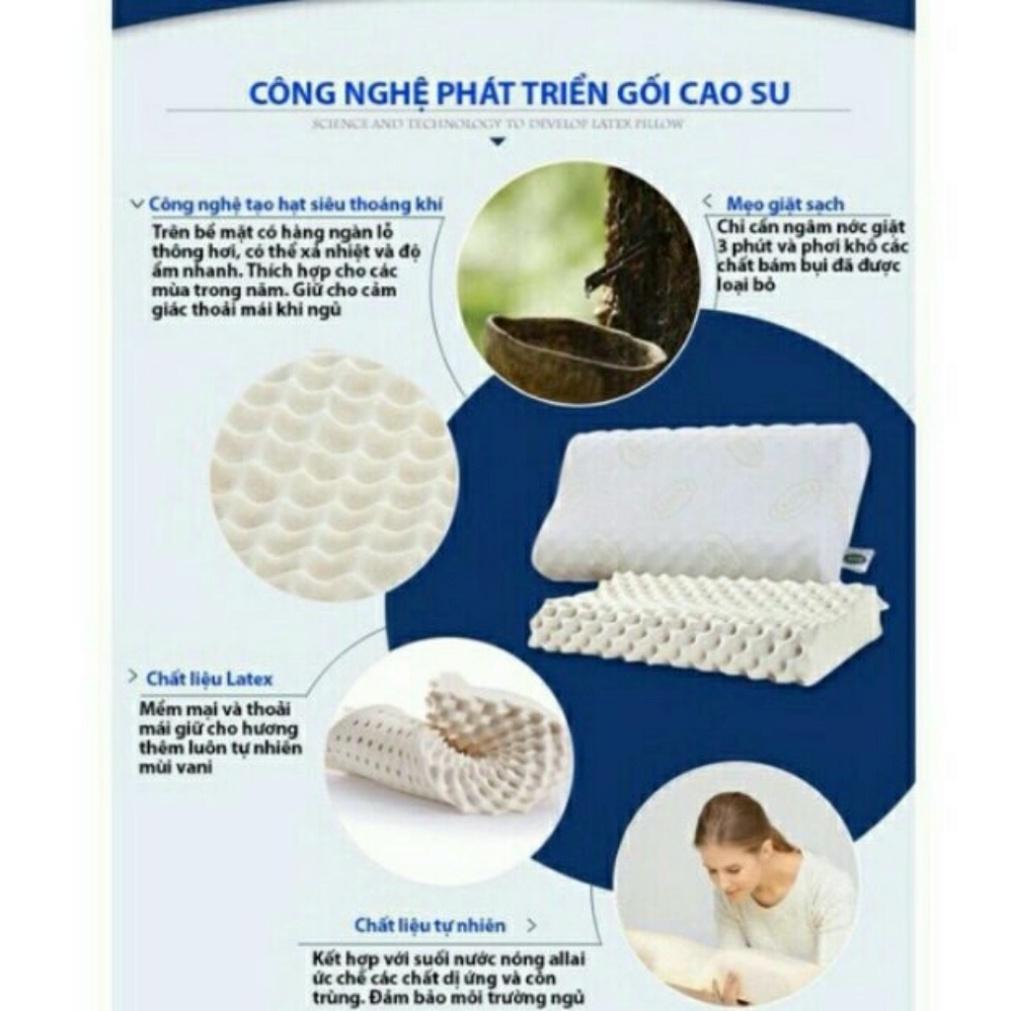 Gối cao su non Ventry Miha Bedding, hàng loại 1 Thái lan đàn hồi cực tốt chống mỏi vai gáy