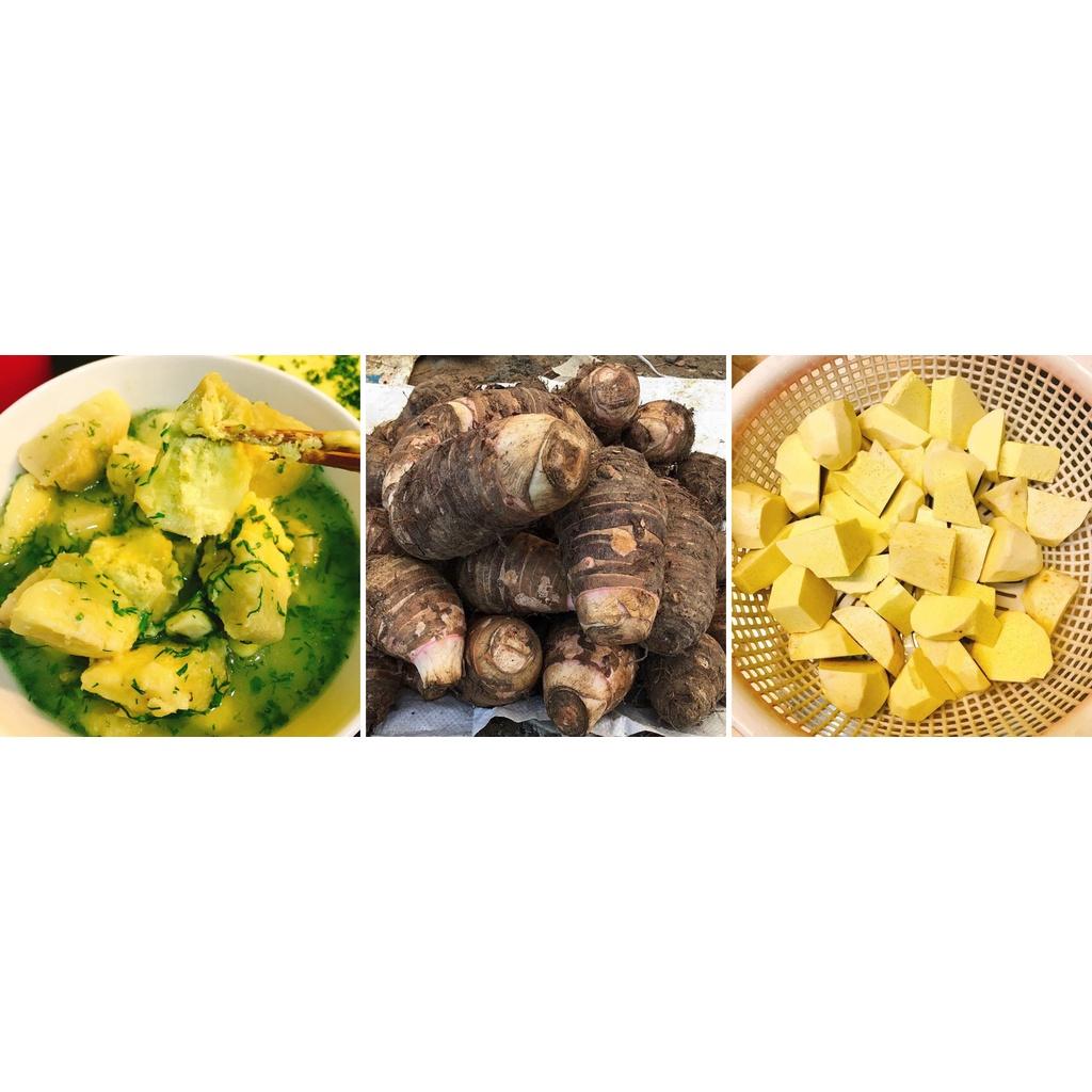 Cây giống khoai môn sáp lòng vàng dẻo của người Dao - cây giống