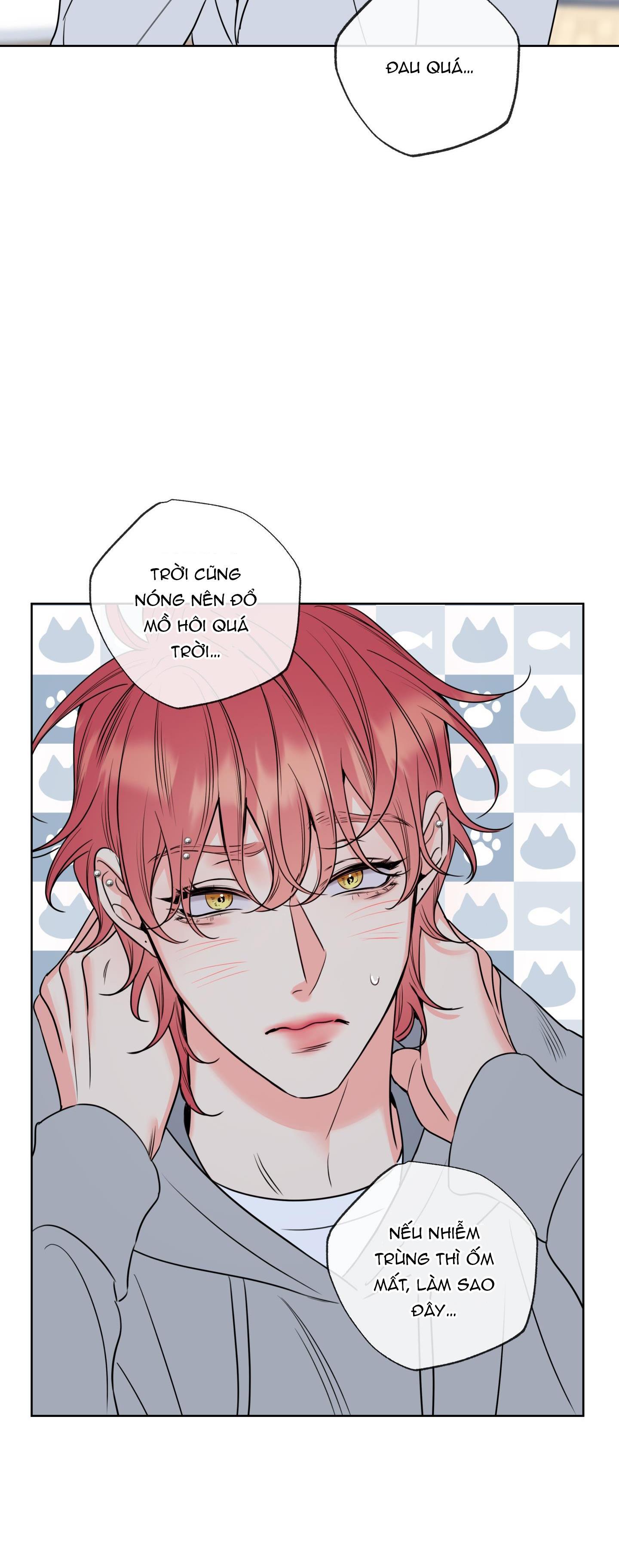 mật ong nhà làm chapter 18 17