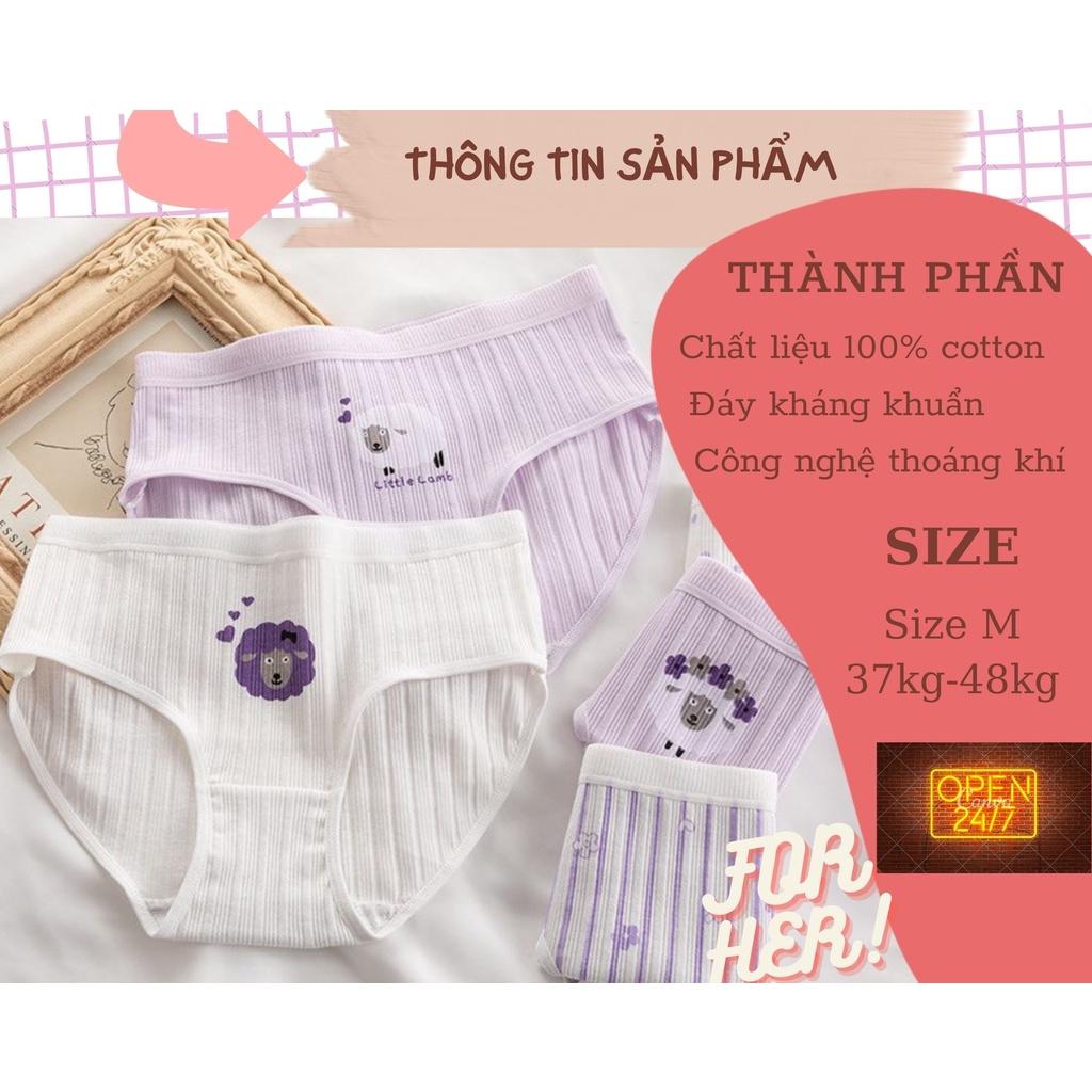 Quần lót cotton nữ mẫu cừu dễ thương