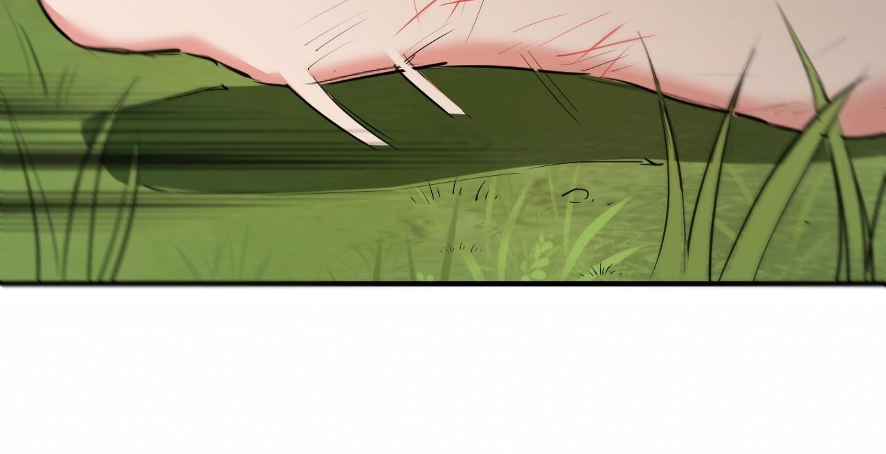 đàn thỏ của habibi chapter 36 231