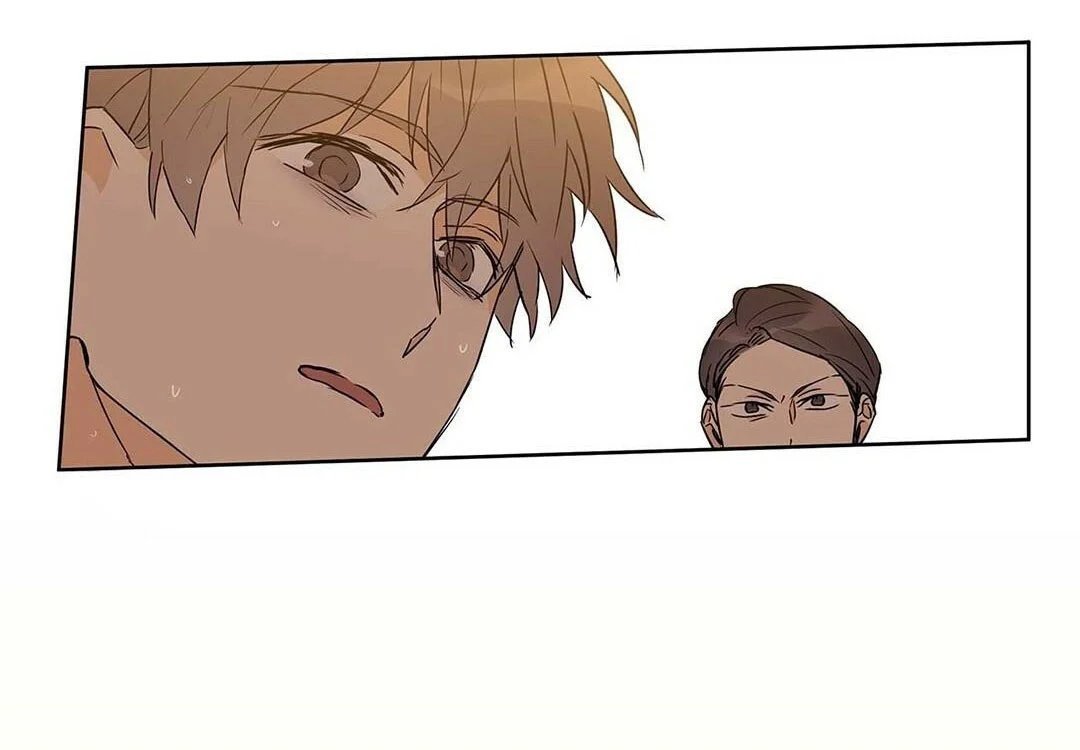 guide cấp b chapter 22 91