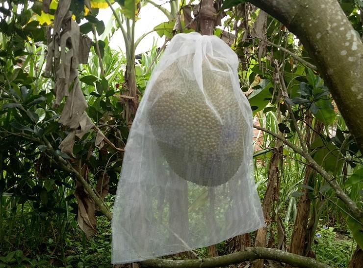 20 Túi Vải Lưới Bọc Mít kích thước 50x70cm Siêu Bền -Chống Ruồi, Chim, Côn Trùng Hút Chích, Chịu Nắng Mưa Qu