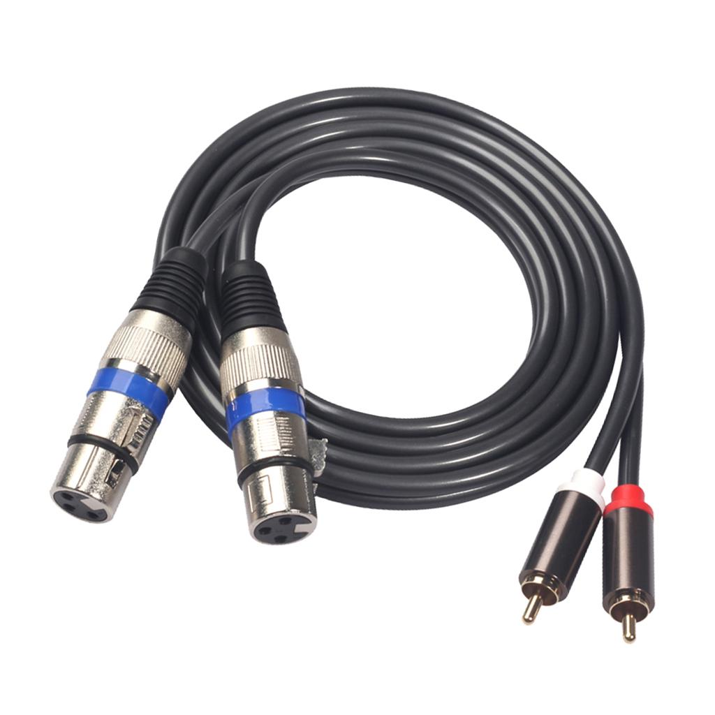 2RCA Nam Để 2XLR Nữ Stereo Âm Thanh Micro Tai Nghe Khuếch Đại Dây Cáp