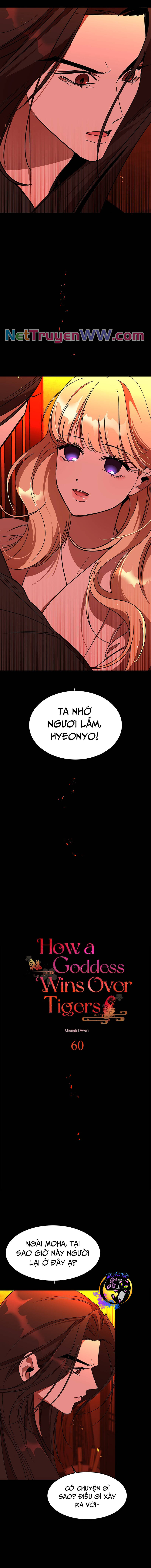 chiến lược săn hổ của nữ thần chapter 60 6