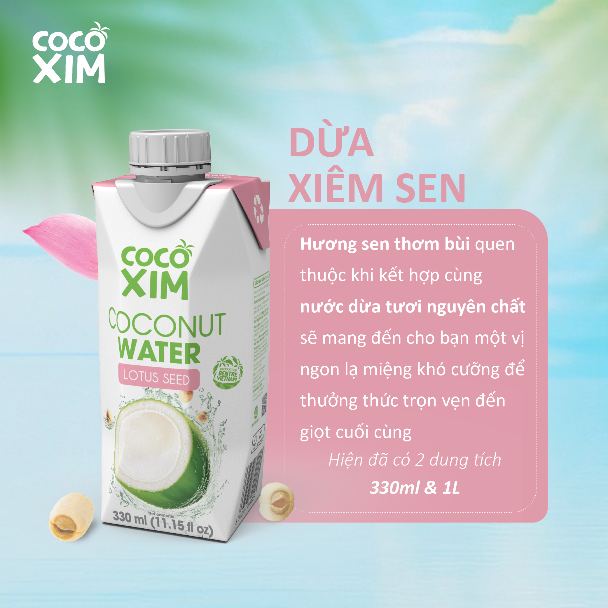 COMBO 6 HỘP Nước dừa đóng hộp Cocoxim Sen 330ml/hộp