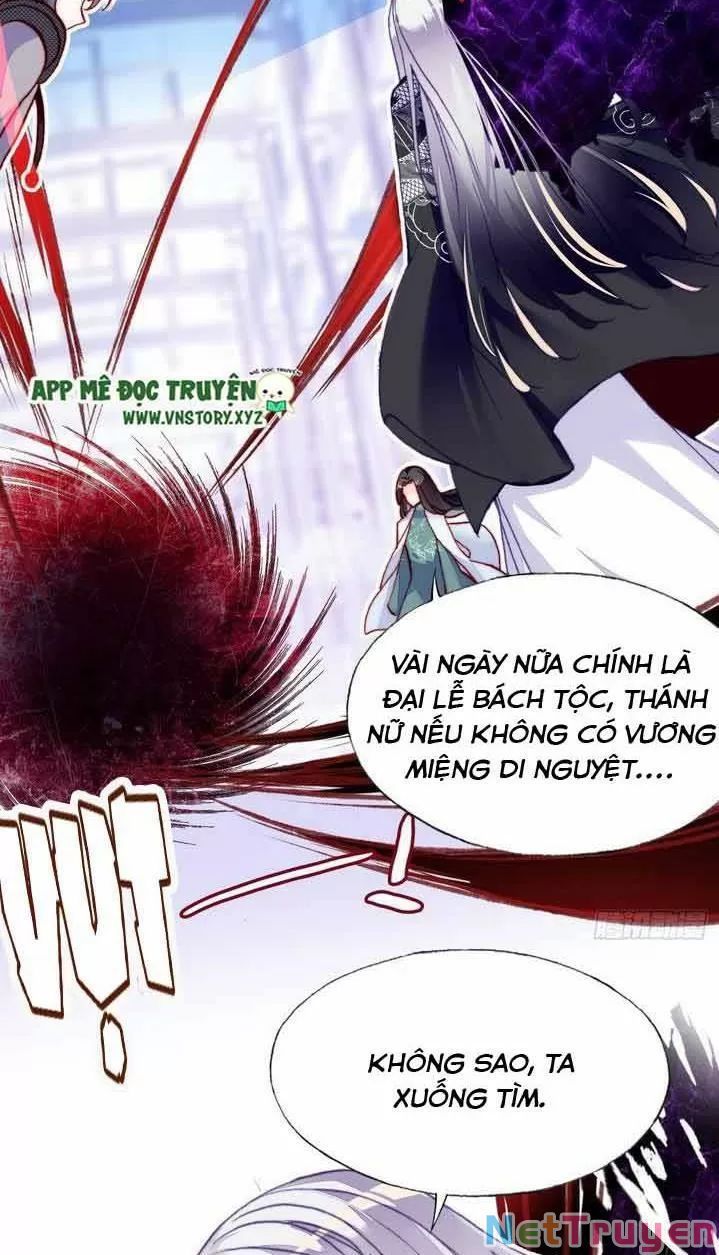 lại bị bệnh chiều chuộng quấn lấy chapter 11 4