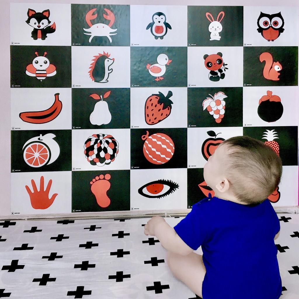 DECAL Kích thích thị giác KIWI'S MOM 4 lớp cao cấp chống nước