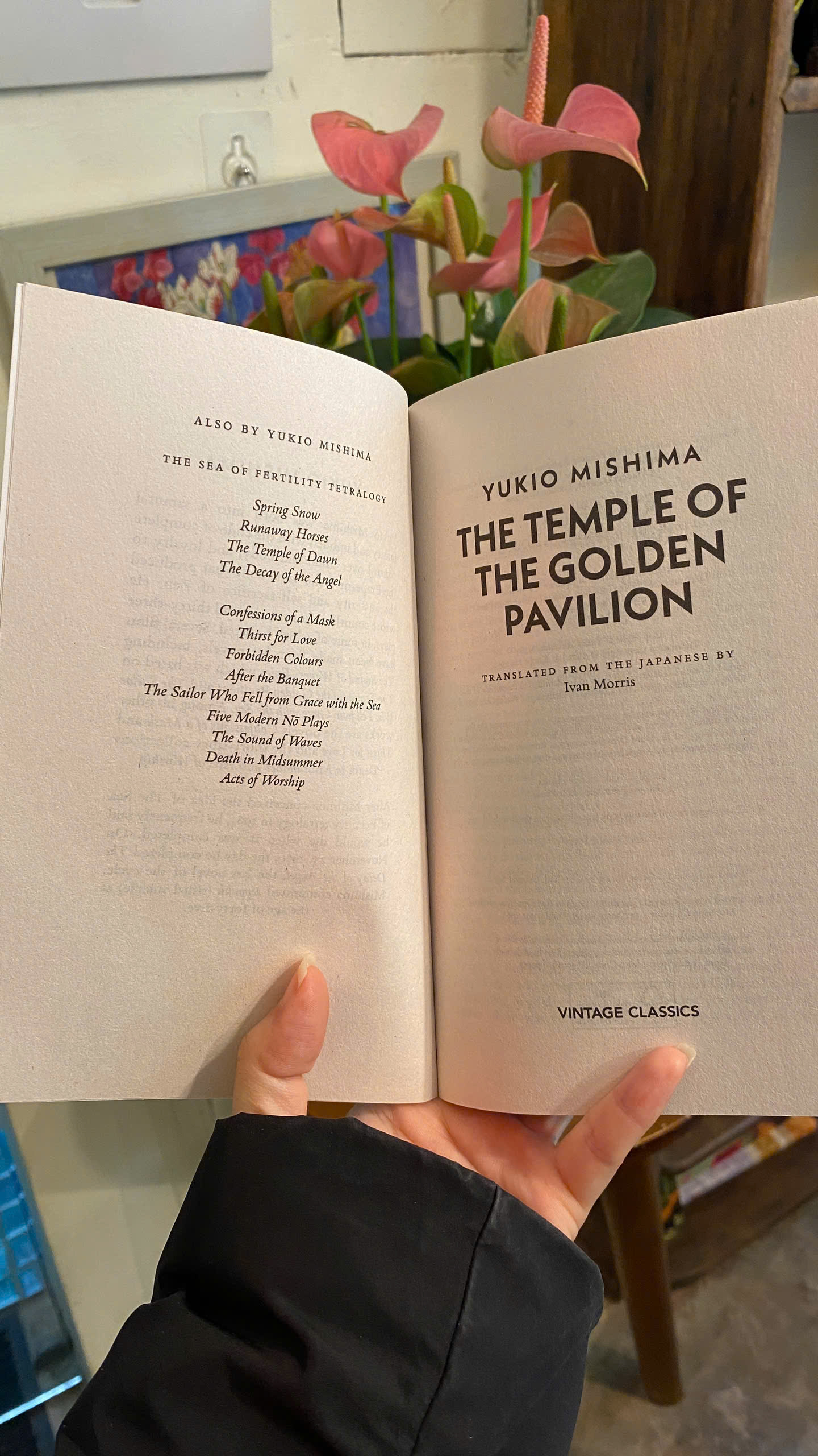 Sách - The Temple of the Golden Pavilion by Yukio Mishima| Classics/ Japanese Literature / Ngoại văn