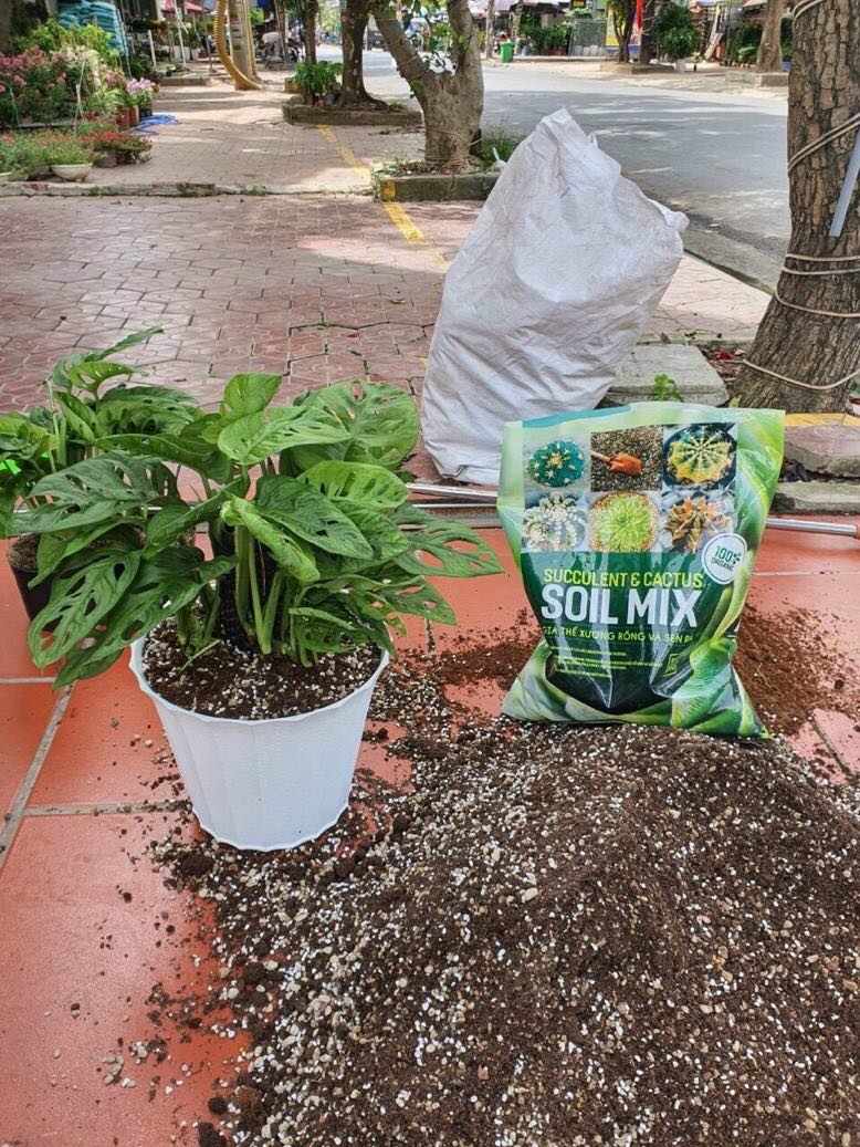 Giá thể Soil Mix đất trồng Sen đá, Xương rồng trộn sẵn túi 1kg