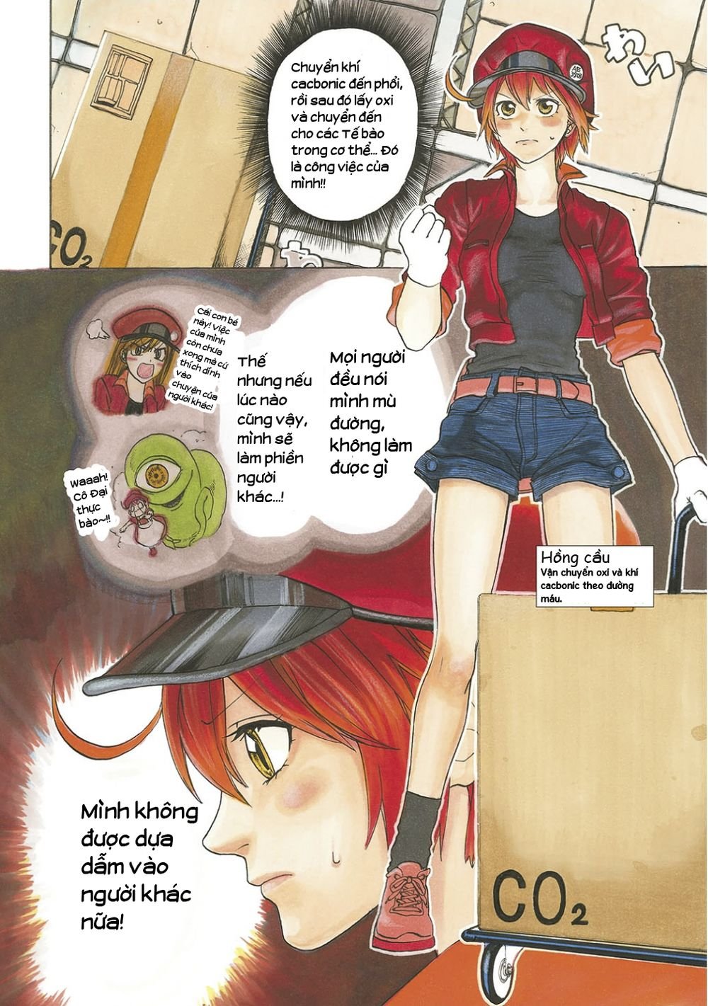 hataraku saibou! chapter 10 4