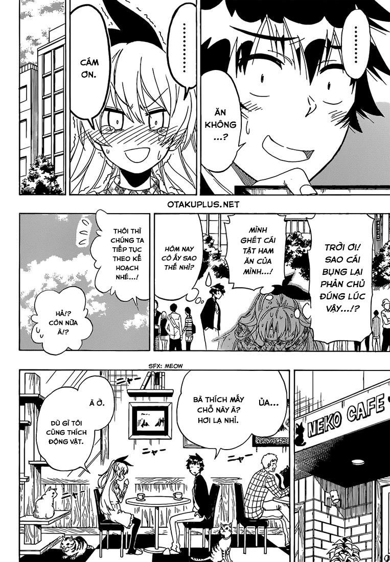 nisekoi - tình yêu giả tạo chapter 174 12