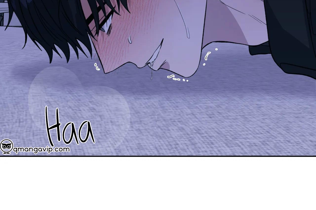 ám ảnh pheromone chapter 60 79