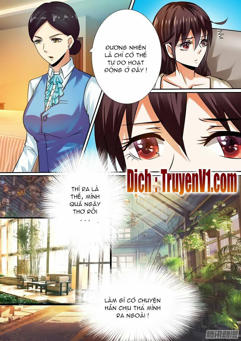 hào môn tiểu lão bà chapter 11 2