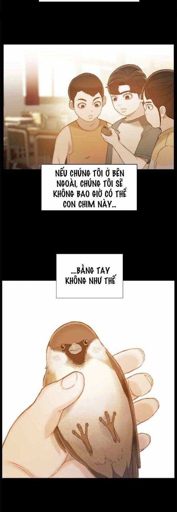 thiền định - samadhi chapter 17 34