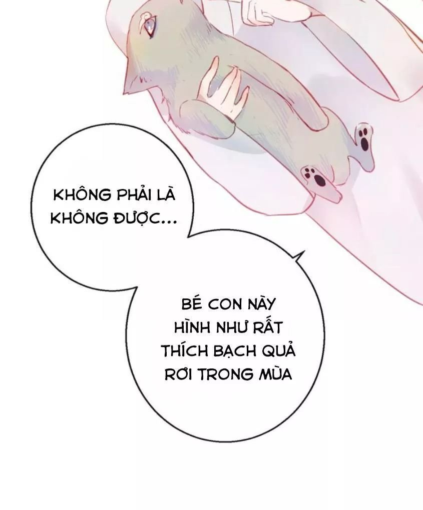 hồ minh chi hương chapter 9 45