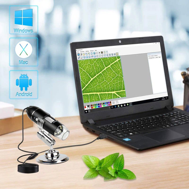 ROGTZ - Kính Hiển Vi Điện Tử Cầm Tay Zoom 1000x 8 Đèn LED - 3 Trong 1 USB/Typec/Micro Cảm Biến CMOS HD 0.3M Phân Giải Cao Lấy Nét Linh Hoạt USB Camera Nội Soi HD Kết Nối Nhiều HĐH Macos/Android/Windows - Hàng Chính Hãng