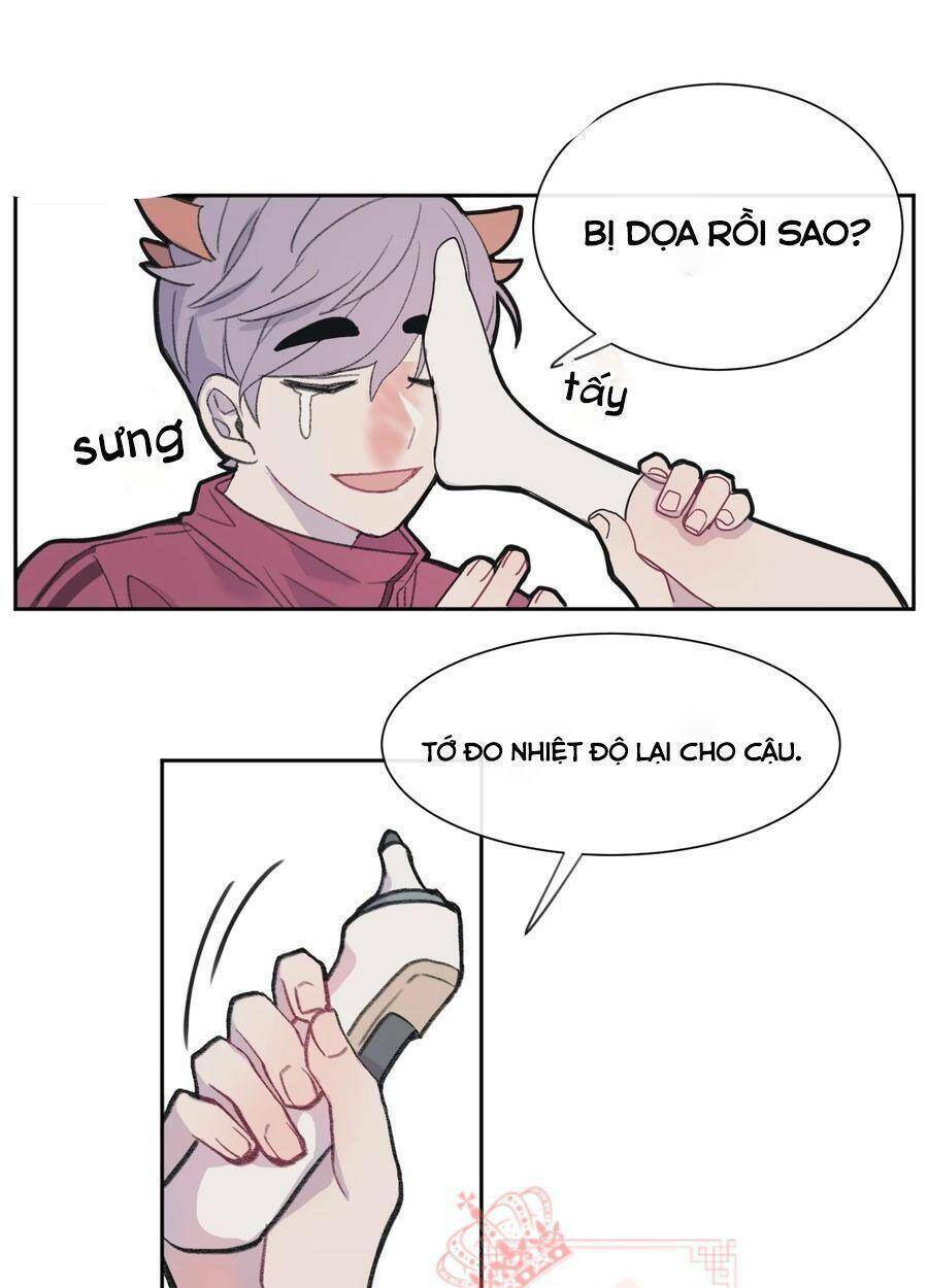 nhật ký nấm ma cô chapter 3 6