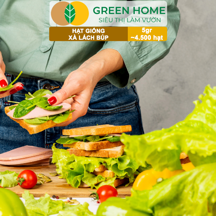 Hạt Giống Xà Lách Búp Greenhome, Gói 5gr~4500 hạt, Dễ Trồng Quanh Năm, Thu Hoạch Nhanh, Năng Suất Cao R20