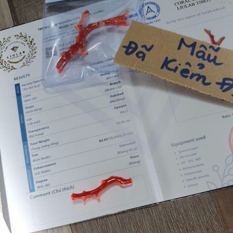 110- L Nhánh San Hô Đỏ (THIÊN NHIÊN)