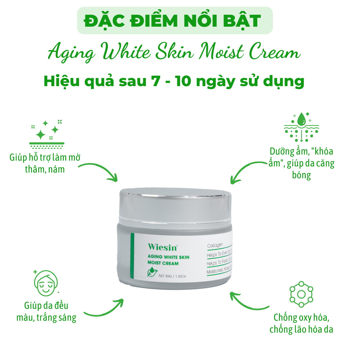 Kem dưỡng ẩm cho da dầu, da khô Wiesin Aging White Skin Moist Cream 30g - WS05