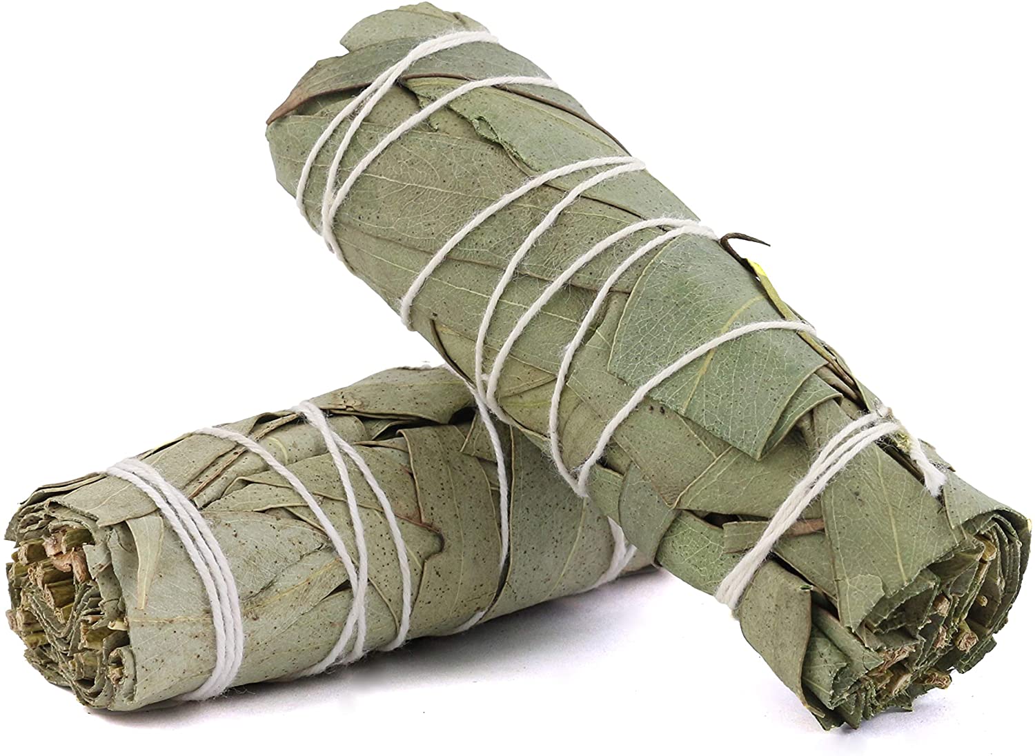 Bó xô Bảo vệ (Xô bạch đàn - Eucalyptus Smudge sticks) (Lưu ý số lượng bó)