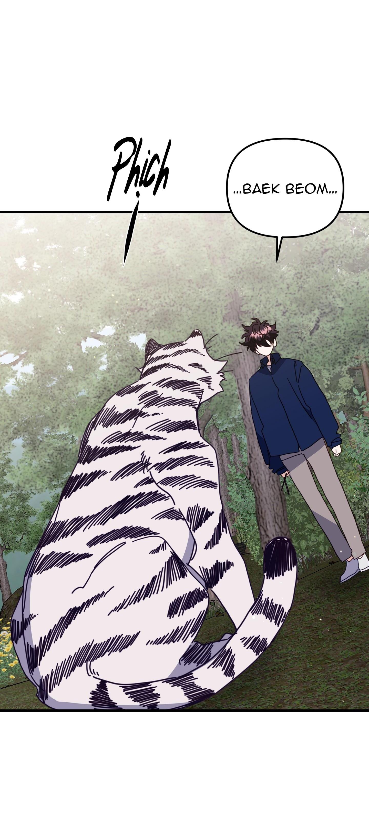 hổ trở về chapter 42 67