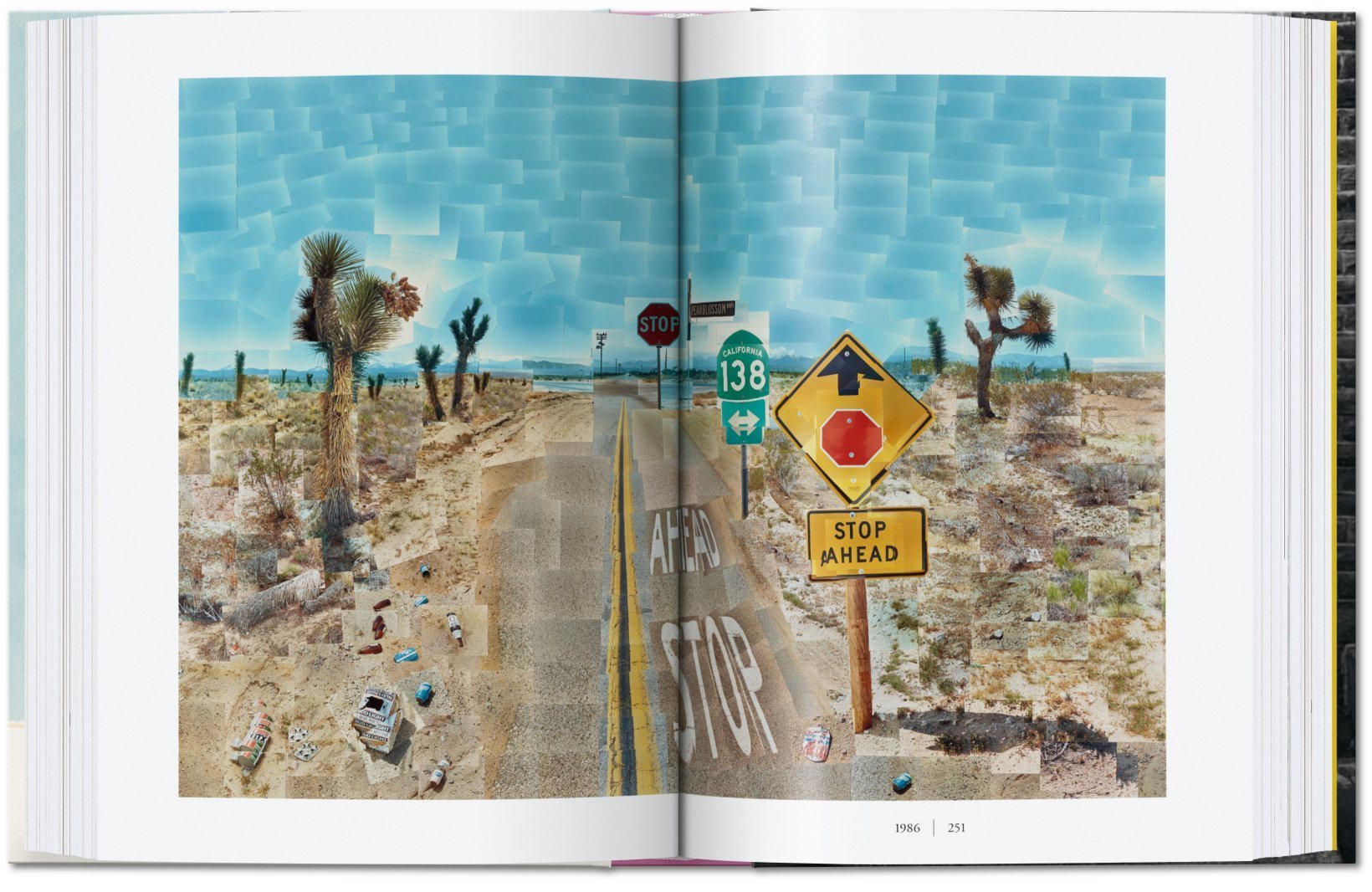 Hình ảnh Artbook - Sách Tiếng Anh - David Hockney