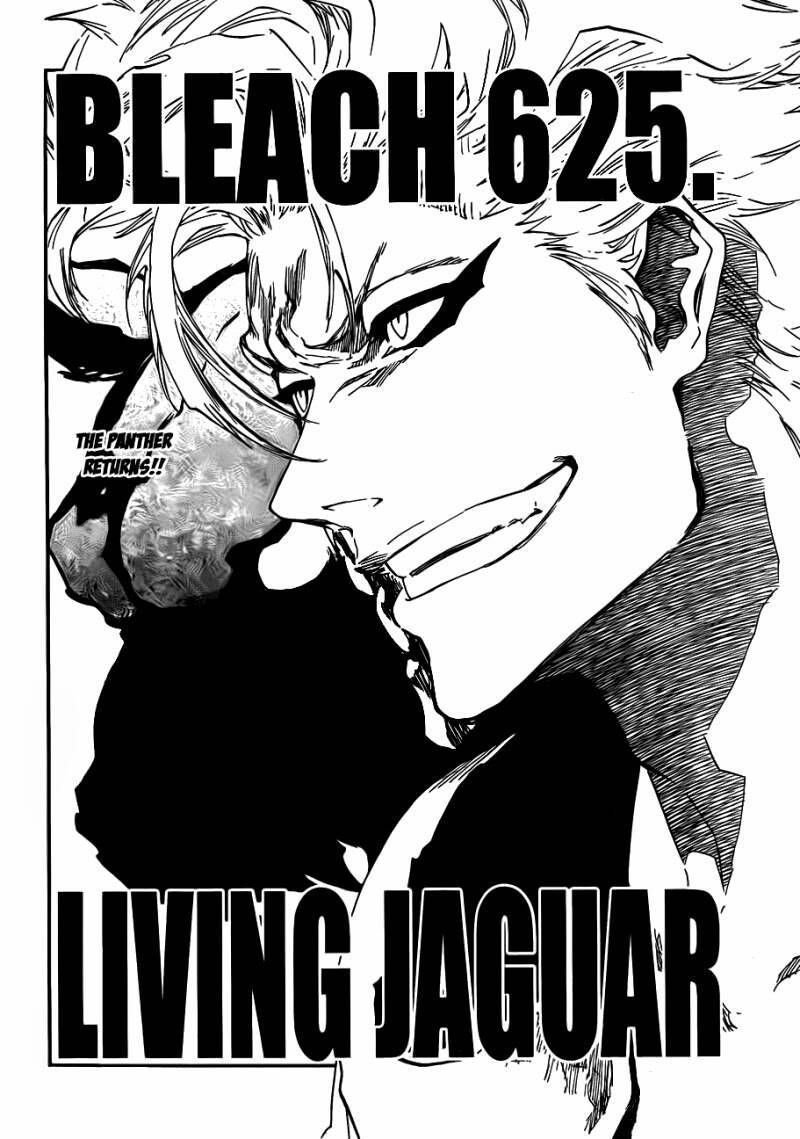thần chết ichigo chapter 625 2