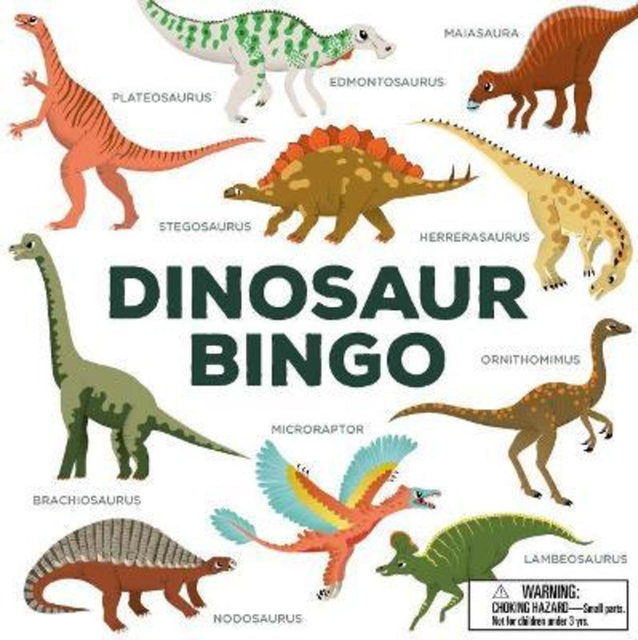 Hình ảnh Sách - Dinosaur Bingo by Caroline Selmes (UK edition, paperback)