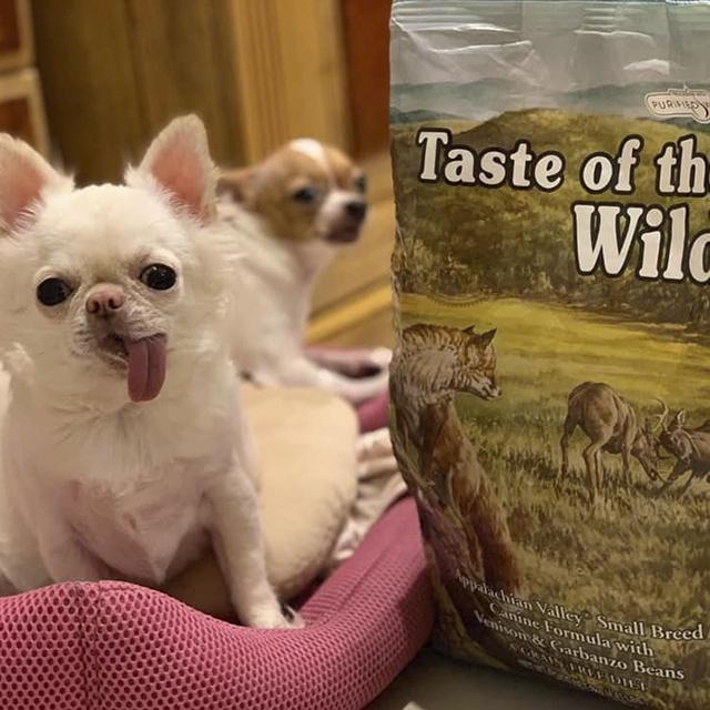 Thức Ăn Cho Chó Chihuahua, Taste Of The Wild Bao 2kg - Thức Ăn Cho Chó, Vị Thịt Nai &amp; Đậu Garbanzo, Trái Cây, Rau Củ