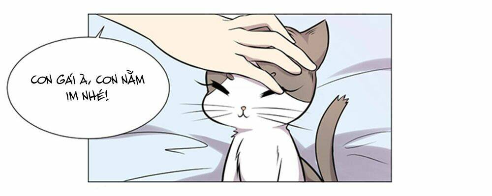 hai chú mèo totem chapter 37 52