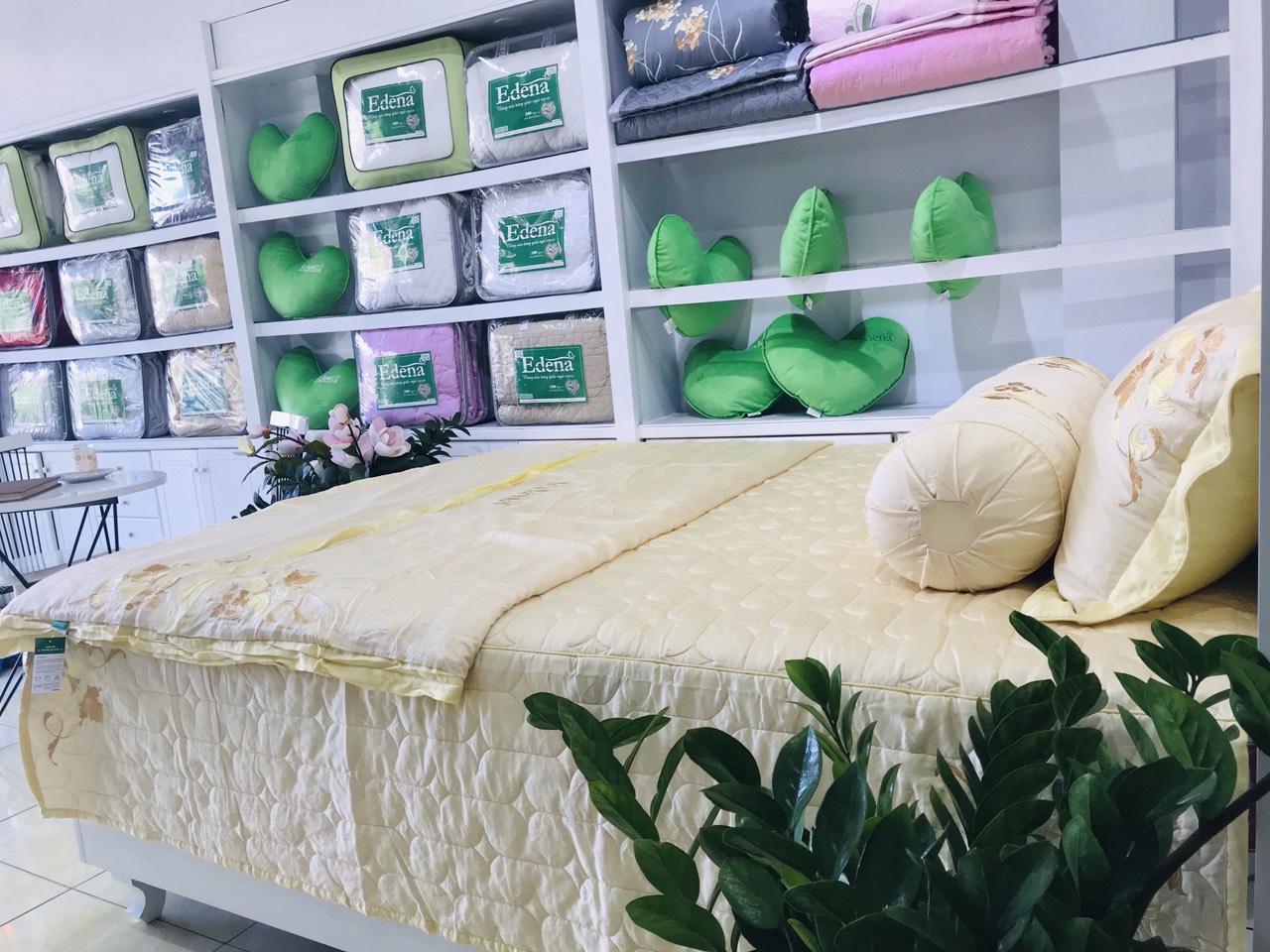 Bộ ra bọc chần gòn không mền EDENA TENCEL 160x200 ED739