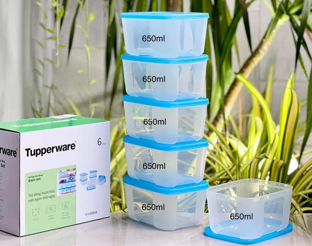 Bộ Hộp Trữ Đông Tupperware Freezermate Basic 650ml (6 Hộp)