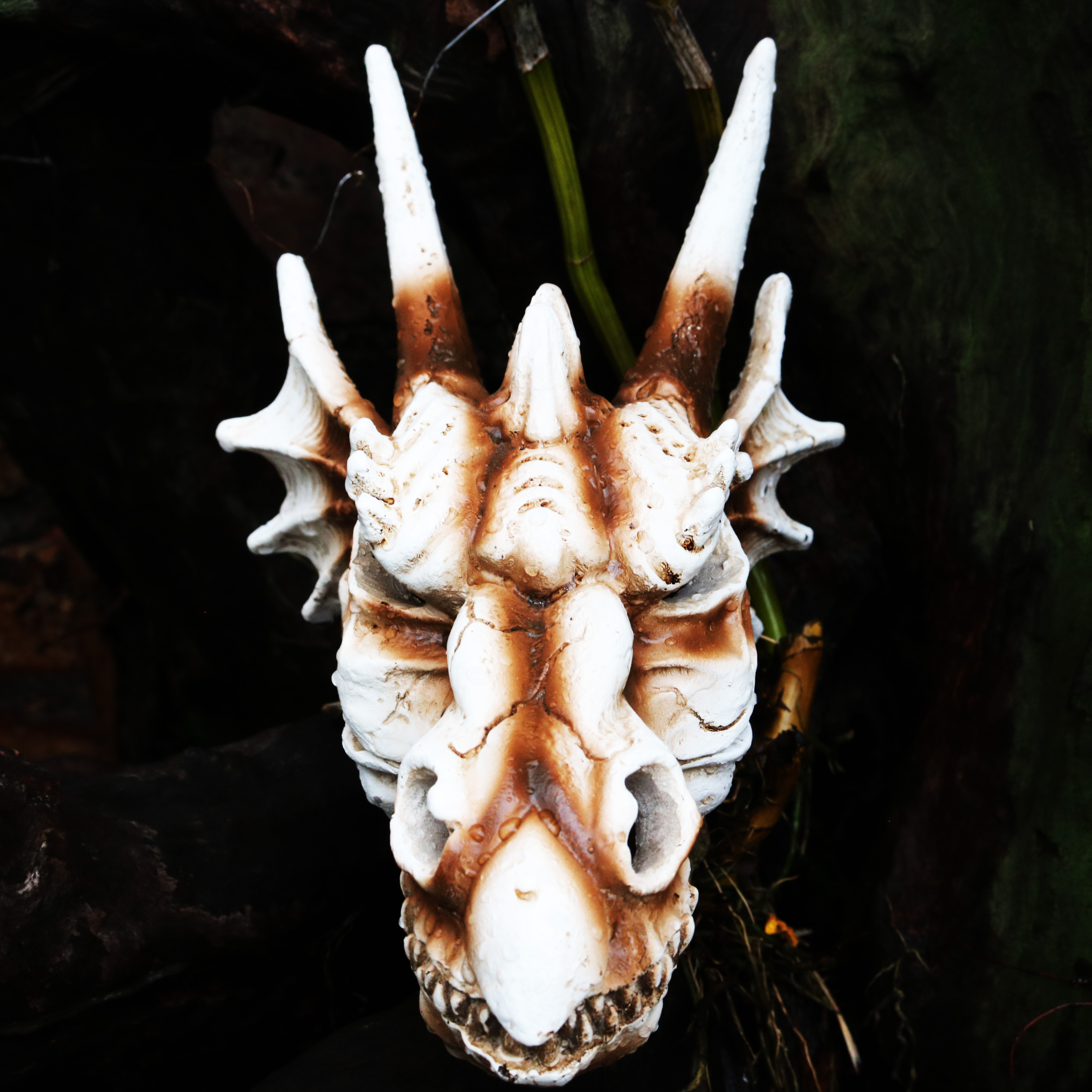 Mô hình Đầu rồng phong thủy trang trí bể thủy sinh - hồ bán cạn