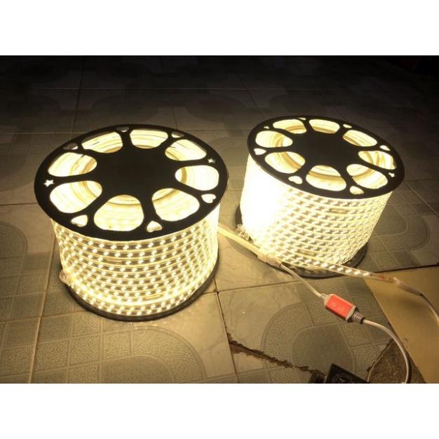 Dây led 2835 - 2 hàng , 2835 - 3 hàng - ánh sáng vàng điện 220V ánh sáng trắng, ánh xanh dương