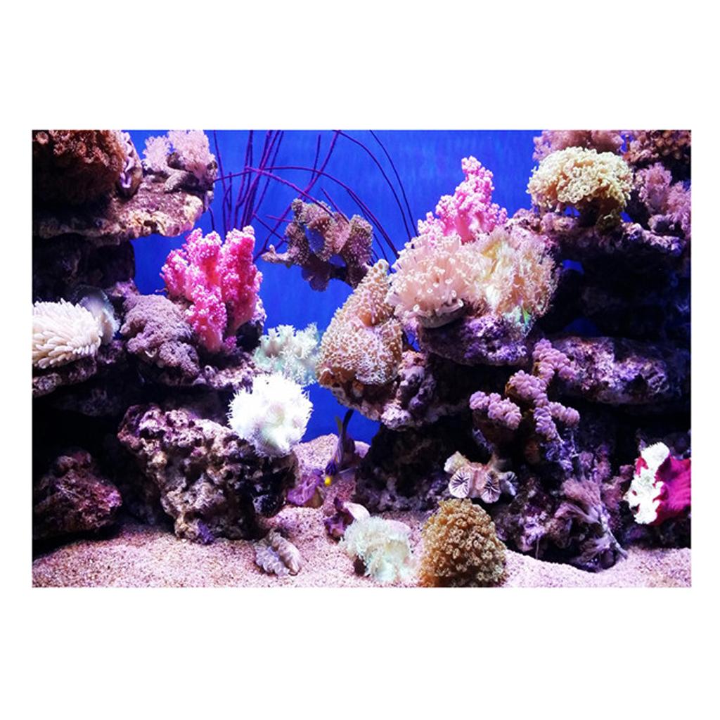 Aquarium Background Adhesive Poster Fish Tank Wall Decorations Sticker