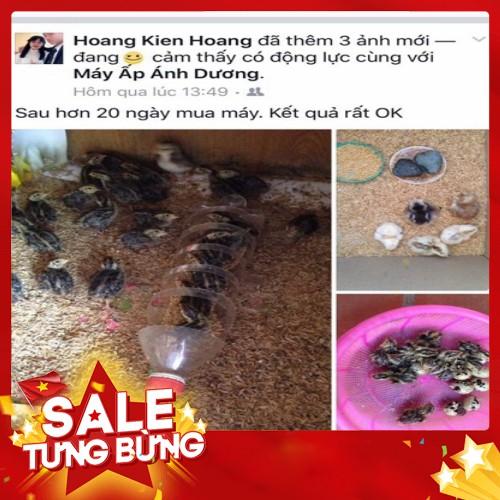 Máy Ấp Trứng Ánh Dương+Đèn Pin Soi Trứng+ Gói Úm Cho Gà Con