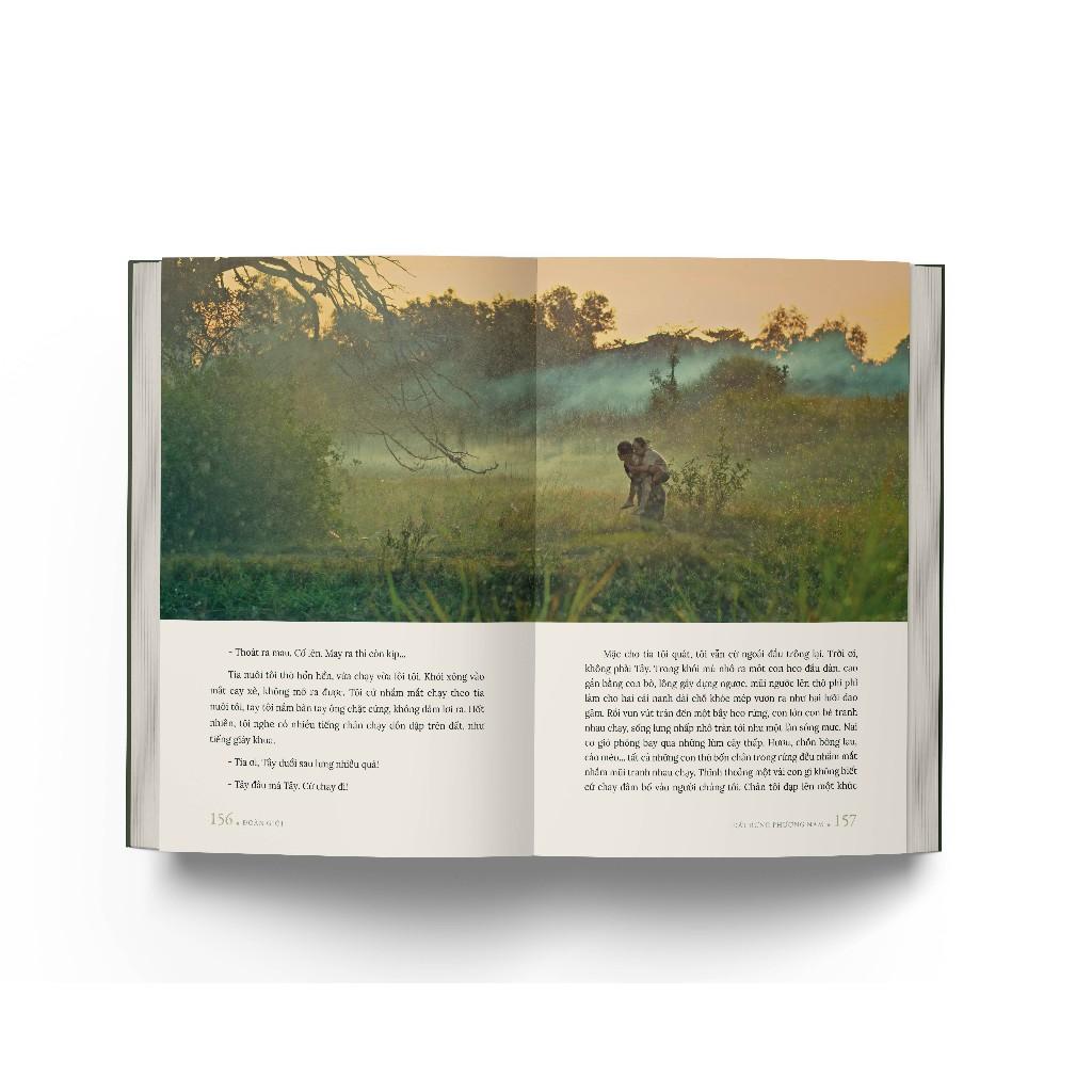 Truyện - Đất Rừng Phương Nam