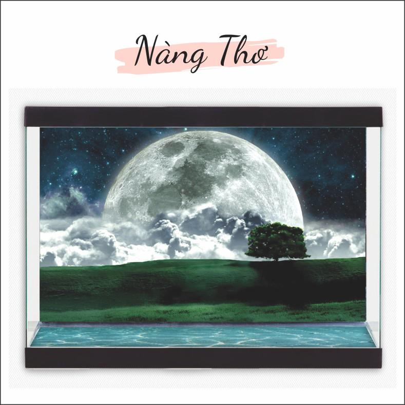 Decal dán hồ cá 3D THE MOON nhiều mẫu