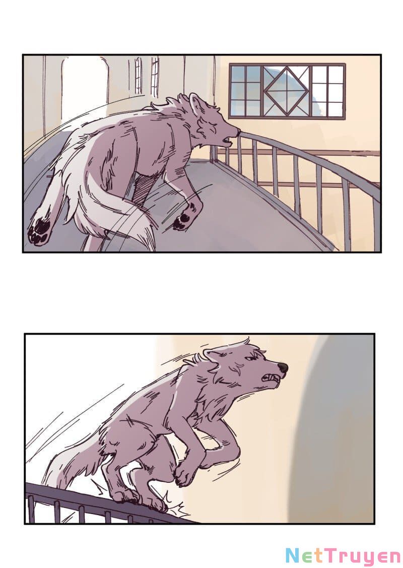 lumine - cội nguồn ánh sáng chapter 89 33